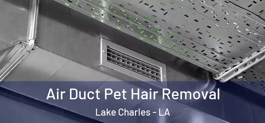 Air Duct Pet Hair Removal Lake Charles - LA