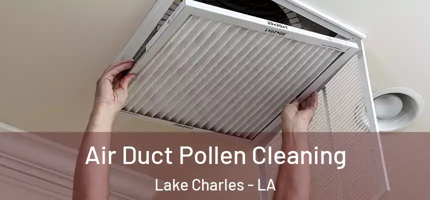  Air Duct Pollen Cleaning Lake Charles - LA