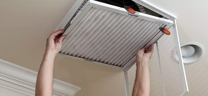 Preventive Cockroach-Proofing for Ducts in Lake Charles