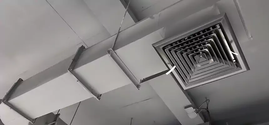 Our Pest Removal From Ducts Services in Lake Charles, LA