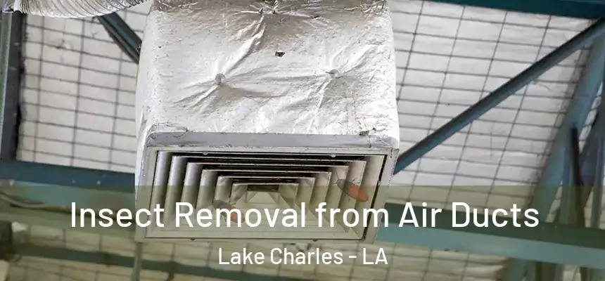  Insect Removal from Air Ducts Lake Charles - LA