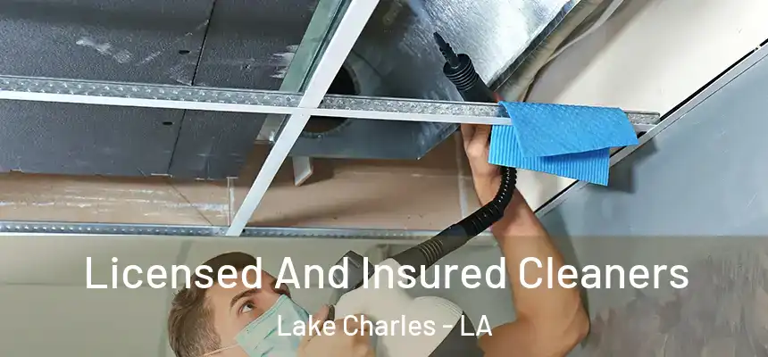  Licensed And Insured Cleaners Lake Charles - LA