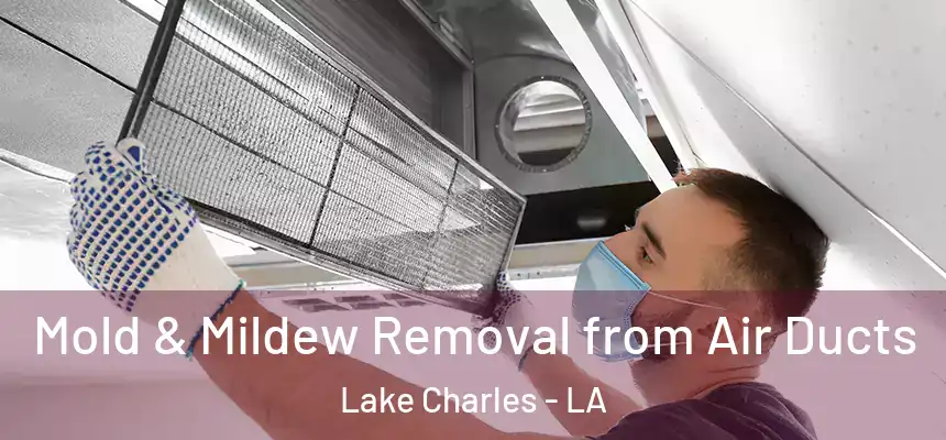  Mold & Mildew Removal from Air Ducts Lake Charles - LA