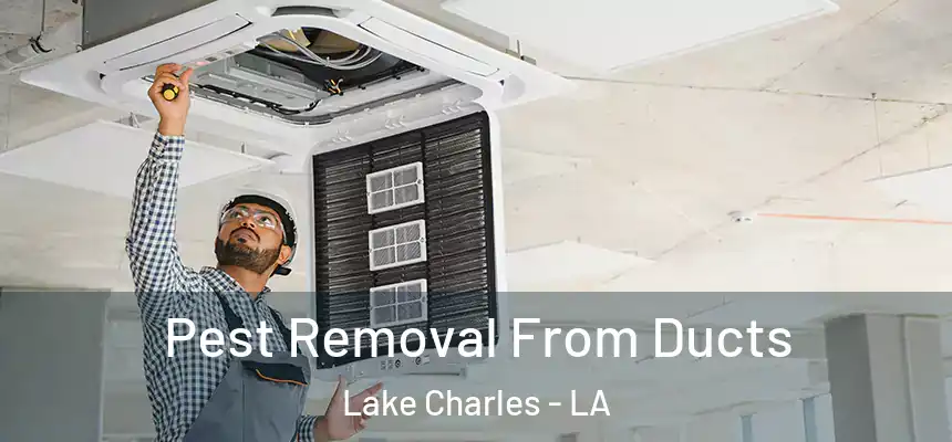  Pest Removal From Ducts Lake Charles - LA