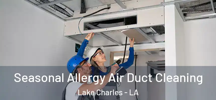 Seasonal Allergy Air Duct Cleaning Lake Charles - LA
