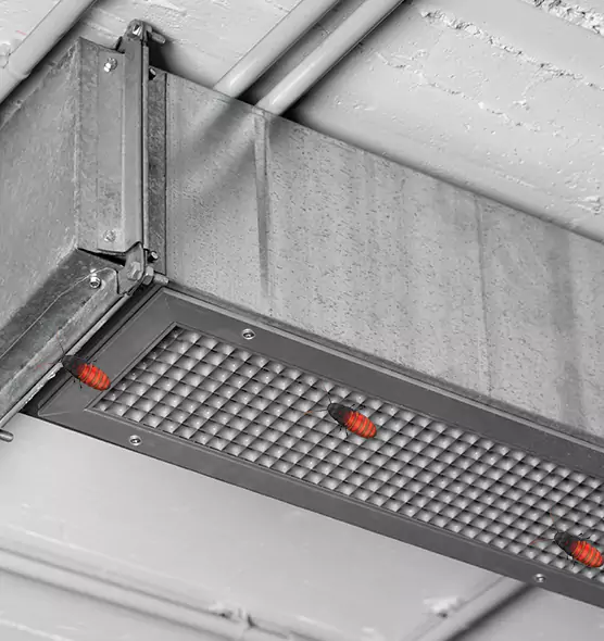 About Air Duct Cockroach Removal in Lake Charles, LA