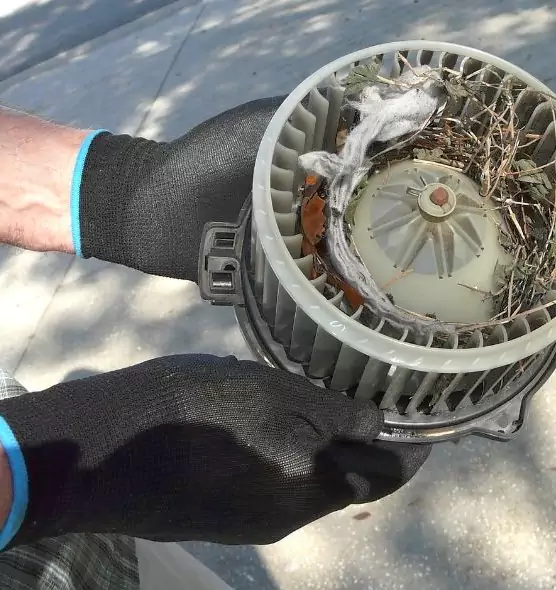 About Air Duct Rat Removal in Lake Charles, LA