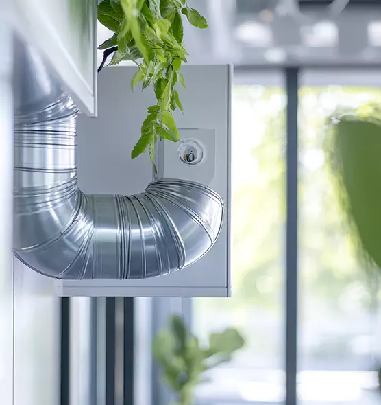 Professional Eco-Safe Dryer Vent Cleaning in Lake Charles, LA