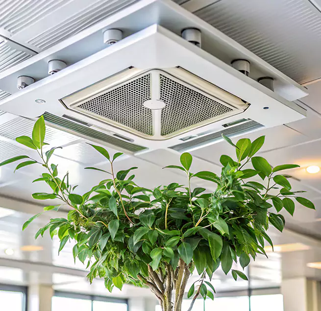 Why Homeowners & Businesses Trust Us in Lake Charles, LA?