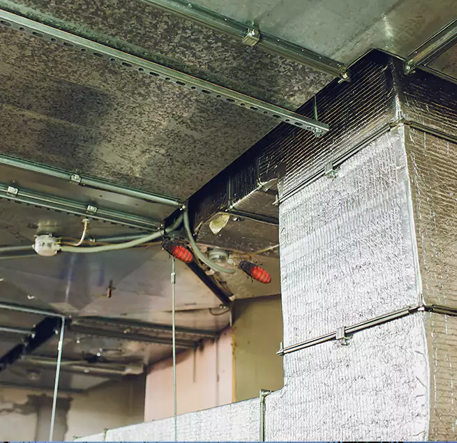 Why Homeowners & Businesses Trust Us Lake Charles, LA?